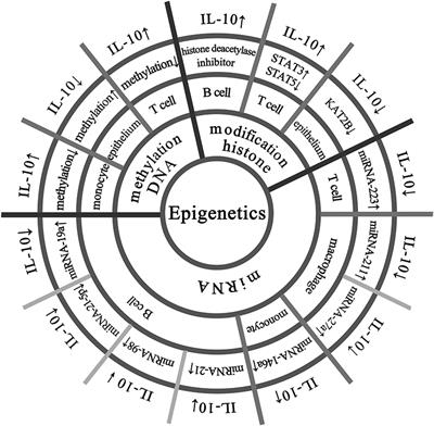 Epigenetic Changes Associated With Interleukin-10